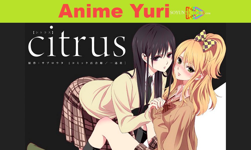 Anime Citrus customized A4 posters. | Shopee Philippines-demhanvico.com.vn